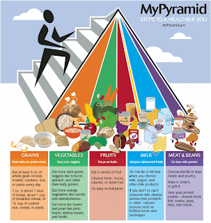 MyPyramid Menu Planner, MyPyramid Menu Planner from Mypyramid.gov