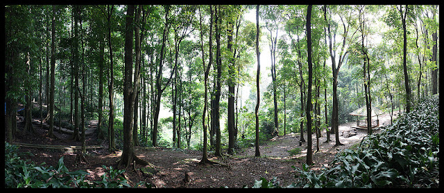 eco wisata di taman hutan raya djuanda bandung