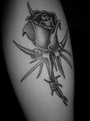 in black rose., lovely flower,