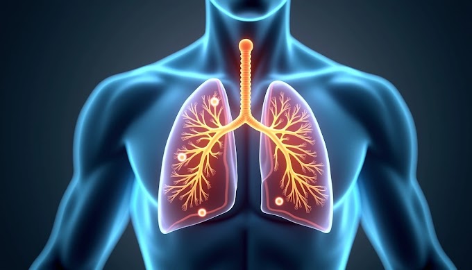 What is Lung Cancer and also discuss the main reasons of Lung Cancer