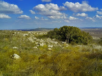 Panorama murgiano