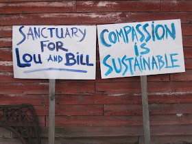 Sanctuary for Lou and Bill | Compassion is sustainable