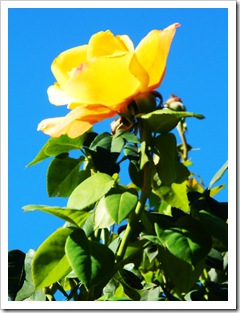 DSCN1190
