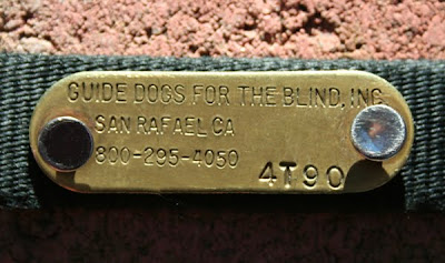 gold placard that came attached to Cabana's big girl collar