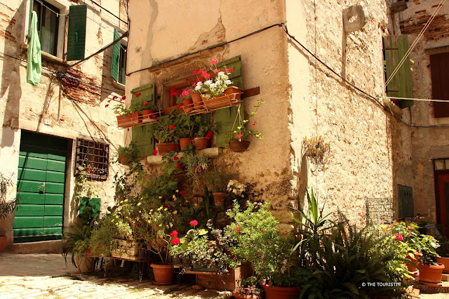 Terracotta flower pots with geraniums and green plants stacked on several shelves along the facade of a stone cottage with green wooden shutters.