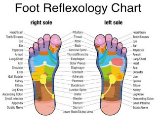 Artikel, Reflexology, Reflexology Near Me, Reflexology Adalah