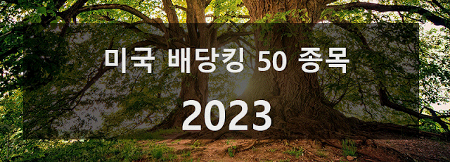 미국 배당킹 50 종목