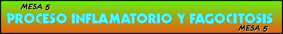 PROCESO INFLAMATORIO Y FAGOCITOSIS