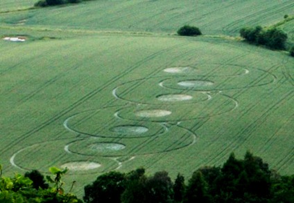 Sutton Bank, North Yorkshire. Reported 5th July.john james