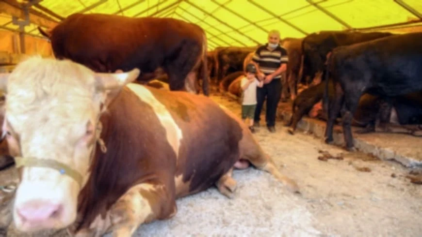 Kurban Bayramı her yıl İslami takvime göre dini bayram olarak kutlanmaktadır.