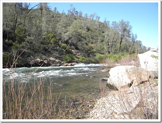 American River