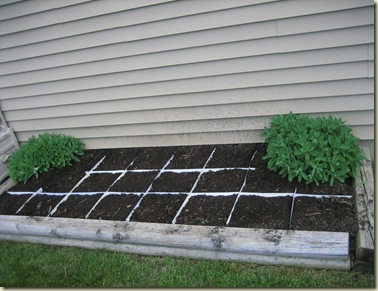 2011 Sq Ft Garden 005