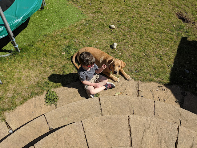 Child and dog in sun