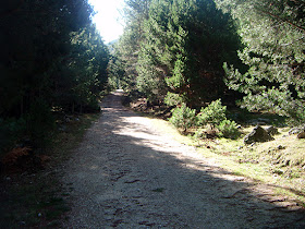 Ruta de Colmenar Viejo al puerto de Cotos. Octubre 2012