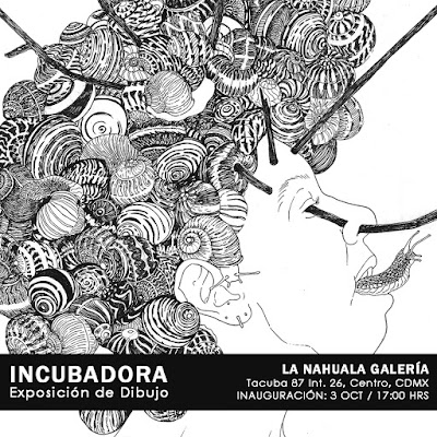 Incubadora - Mediosoleado