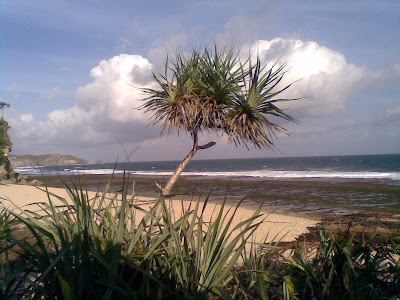  Pantai Sepanjang