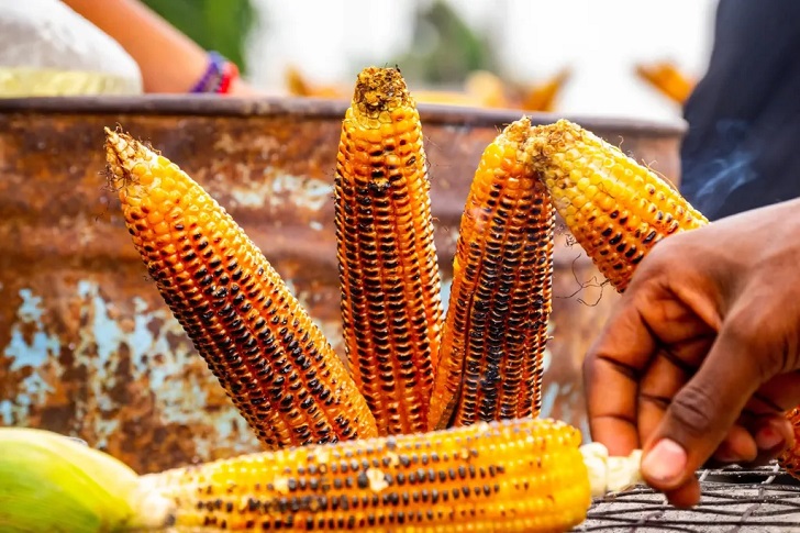 Roasted Maize is the Snack for all Seasons