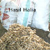 HERBA - HALIA (Part 3)