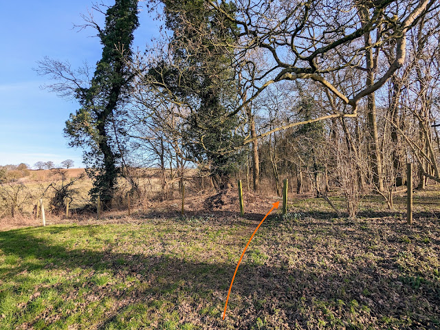 Enter the woodland, still on Sacombe footpath 3