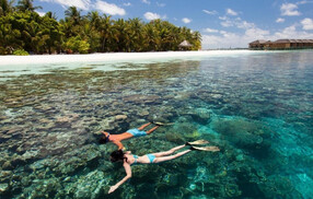 maldives Take a Swim among the Reefs