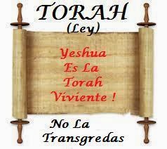 El que practica el pecado transgrede la Torah (Ley)