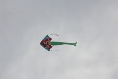 IMG_1404