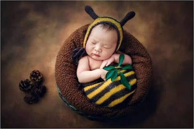 Baby born photography dengan konsep menjadi seorang bayi lebah