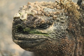 IMG_0018