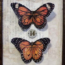 Butterfly Specimen Tray - Nichola Battilana for gslcuts.com