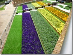 12 chelsea flower show fringe