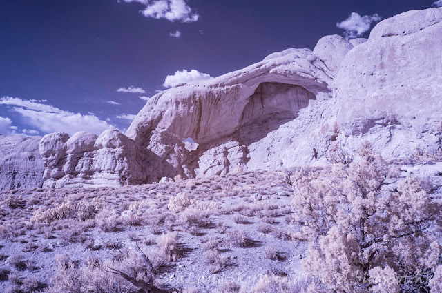 紅外線攝影, 相片, 照片, 美國拱門國家公園, arches national park, infra-red photography, photo