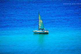 estate, foto Ischia, mare, vacanze, sailing boat