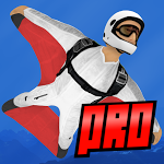 Wingsuit Pro v1.503