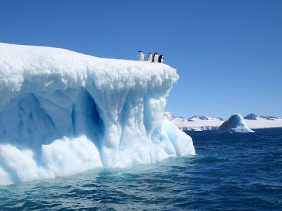??? Laut Weddell, Air Laut Terjernih Di Dunia ??? [ www.BlogApaAja.com ]