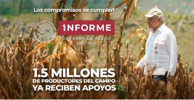 EL PRIMER INFORME DE GOBIERNO DEL PRESIDENTE ANDRÉS MANUEL LÓPEZ OBRADOR (VIDEO)