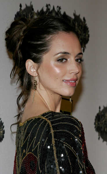 casual up do hairstyles. Eliza Dushku Updo Hairstyle