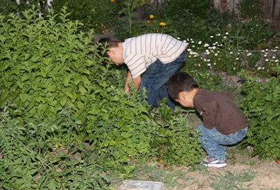 2011-05-12_181