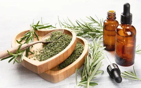 Rosemary Oil Uses and Benefits for Hair Growth