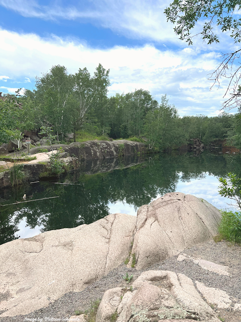 A weathered rock ledge offered a perch to observe trees "painted