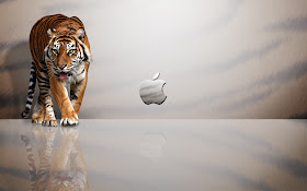 Wallpaper Mac 7 1920x1200, Mac Wallpaper Wallpaper, Desktop Wallpaper For Mac