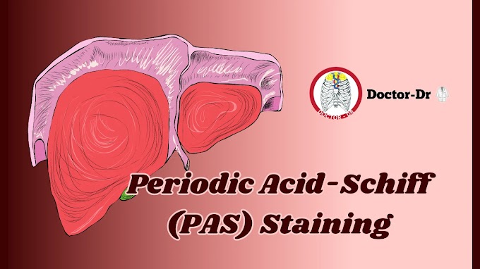 Periodic Acid-Schiff (PAS) Staining