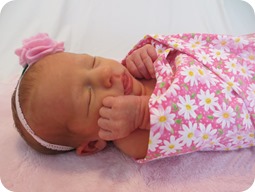 Liberty's Newborn Portraits