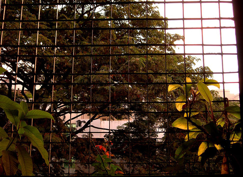 early morning sunlight out of window in mumbai