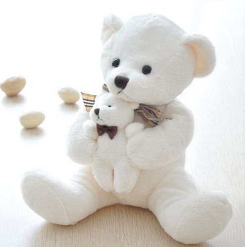 Cute White Teddy Bear Wallpaper