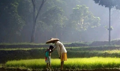 Jendela Islam : Buah Bakti Pada Ibu [ www.BlogApaAja.com ]