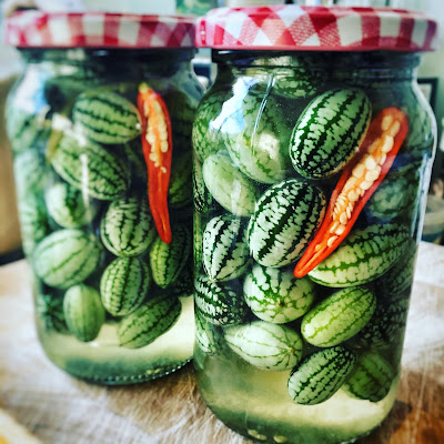 Gin pickled cucamelons ©bighomebird