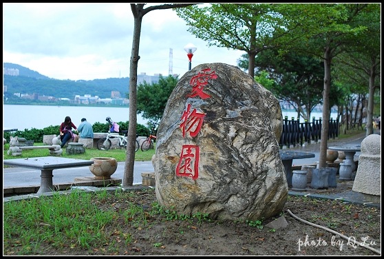 DSC_0314 DSC_0314