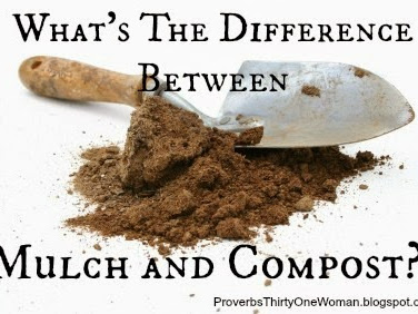 What's The Difference Between Mulch and Compost?