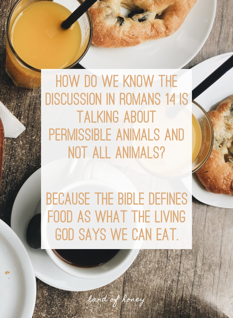 How do we know the discussion in romans 14 is talking about permissible animals and not all animals?    Because the Bible defines food as what the living god says we can eat. - Romans 14 Explained | Land of Honey