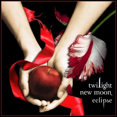 adventures in historical fiction  twilight new moon